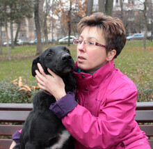 TITZIA, Hund, Mischlingshund in Rumänien - Bild 11