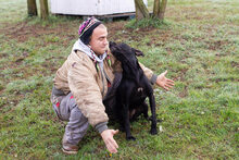 SABINA, Hund, Mischlingshund in Kroatien - Bild 4