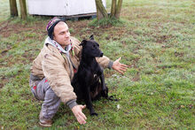 SABINA, Hund, Mischlingshund in Kroatien - Bild 5
