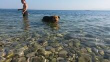 ARKA, Hund, Mischlingshund in Kroatien - Bild 8