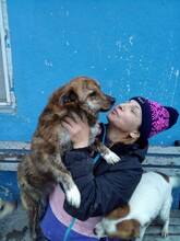 BANJO, Hund, Mischlingshund in Rumänien - Bild 6