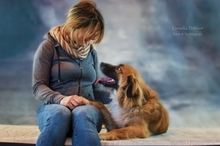 TEDDY, Hund, Mischlingshund in Braunschweig - Bild 4