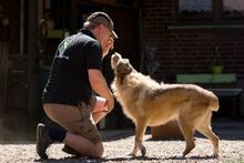 ELISA, Hund, Herdenschutzhund-Mix in Weeze - Bild 24