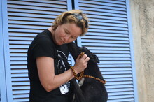 FUNNY, Hund, Mischlingshund in Spanien - Bild 8