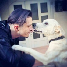NOA, Hund, Mischlingshund in Rumänien - Bild 11