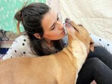 MENIQUE, Hund, Mischlingshund in Spanien - Bild 6