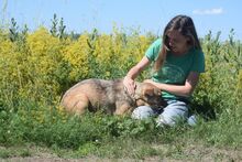 JUDIT, Hund, Mischlingshund in Ungarn - Bild 4