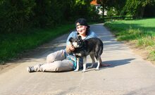 MARLI, Hund, Mischlingshund in Albig - Bild 20