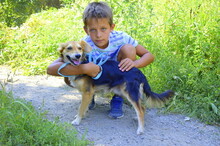SAJMON, Hund, Mischlingshund in Slowakische Republik - Bild 7