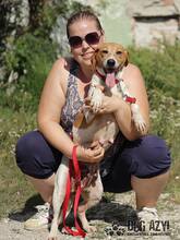JULIA, Hund, Mischlingshund in Slowakische Republik - Bild 8