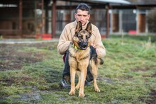WIESIA, Hund, Deutscher Schäferhund in Polen - Bild 6