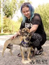BUFFY, Hund, Mischlingshund in Slowakische Republik - Bild 10