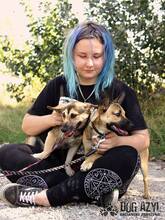 BUFFY, Hund, Mischlingshund in Slowakische Republik - Bild 9