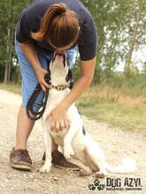 LIANA, Hund, Mischlingshund in Slowakische Republik - Bild 10