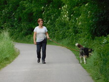 ARAGORN, Hund, Siberian Husky in Obersüßbach - Bild 10
