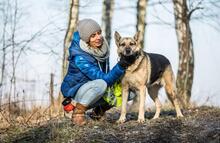 LENKA, Hund, Deutscher Schäferhund in Polen - Bild 8
