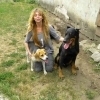 CYRIL, Hund, Beagle in Slowakische Republik - Bild 6
