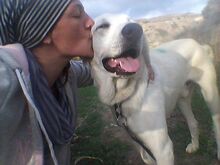 YURI, Hund, Mischlingshund in Griechenland - Bild 15