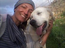YURI, Hund, Mischlingshund in Griechenland - Bild 16
