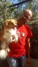 RUBIO, Hund, Mischlingshund in Spanien - Bild 7