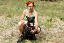 DIEGO, Hund, Französische Bulldogge-Labrador-Mix in Neuhausen - Bild 6