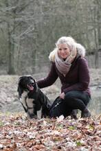 LADY, Hund, Mischlingshund in Münster - Bild 22