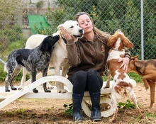 CARLOS, Hund, Labrador Retriever-Mix in Spanien - Bild 5