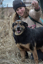 DONATA, Hund, Mischlingshund in Bulgarien - Bild 7