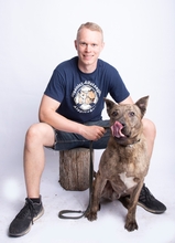 MISTERMANDA, Hund, Mischlingshund in Ungarn - Bild 5