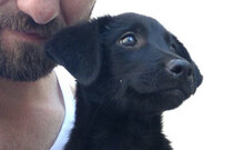 ZOEY, Hund, Mischlingshund in Griechenland - Bild 2