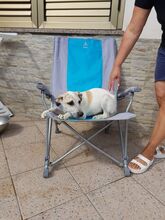 MARINELLA, Hund, Mischlingshund in Simmerath - Bild 11