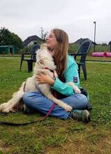 IRMA, Hund, Mischlingshund in Gevelsberg - Bild 10