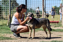 ANASTASIA, Hund, Mischlingshund in Bulgarien - Bild 3