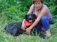 ZOCHOS, Hund, Mischlingshund in Griechenland - Bild 10