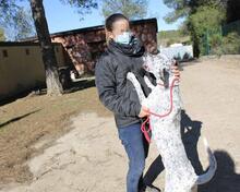 CATA, Hund, Mischlingshund in Spanien - Bild 16