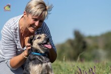 KATJA, Hund, Mischlingshund in Slowakische Republik - Bild 14