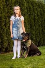 ALESKO, Hund, Mischlingshund in Baumholder - Bild 3