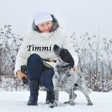 TIMMY, Hund, Mischlingshund in Russische Föderation - Bild 14
