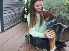 MILO, Hund, Terrier-Mix in Maisach - Bild 6