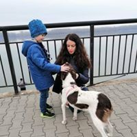SARA, Hund, Mischlingshund in Bulgarien - Bild 3