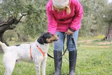 TRONCO, Hund, Mischlingshund in Spanien - Bild 11