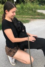 PASKO, Hund, Mischlingshund in Kroatien - Bild 8