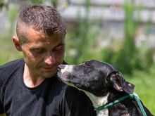 KORINA, Hund, Mischlingshund in Kroatien - Bild 5