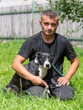 KORINA, Hund, Mischlingshund in Kroatien - Bild 8