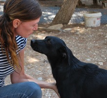 ALISHA, Hund, Mischlingshund in Griechenland - Bild 7