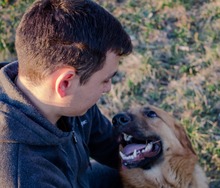 ROGER, Hund, Mischlingshund in Kroatien - Bild 5