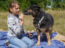 CLARA, Hund, Deutscher Schäferhund-Mix in Ungarn - Bild 8