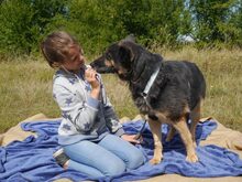 CLARA, Hund, Deutscher Schäferhund-Mix in Ungarn - Bild 9