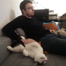 YODA, Katze, Hauskatze in Bendorf - Bild 6