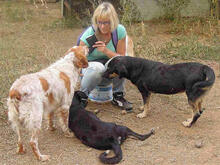 MIRANA, Hund, Mischlingshund in Backnang - Bild 11